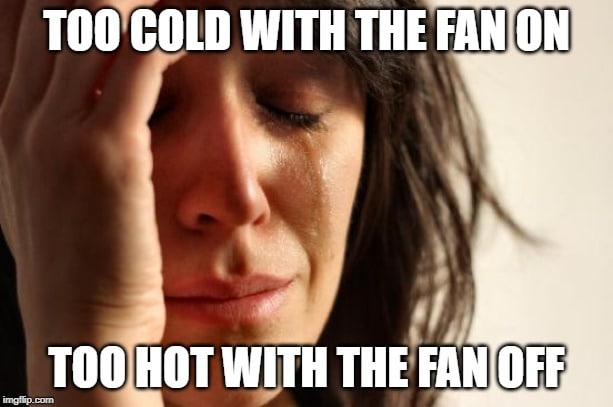thermostat thermostat