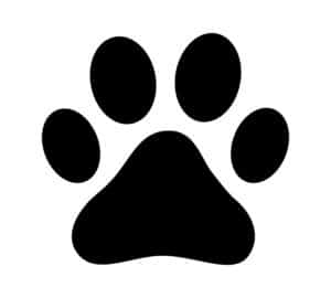 Dog or cat paw print flat icon for animal apps and websites Dog or cat paw print flat icon for animal apps and websites
